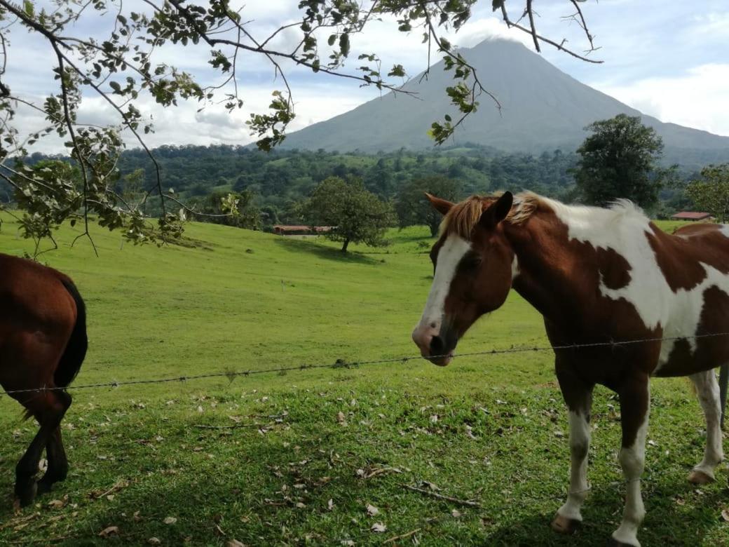 Casona Rustica & Bungalow La Fortuna Екстериор снимка