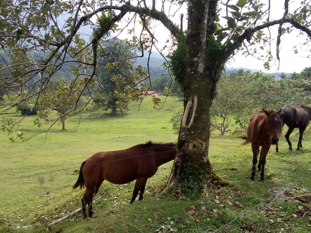 Casona Rustica & Bungalow La Fortuna Екстериор снимка